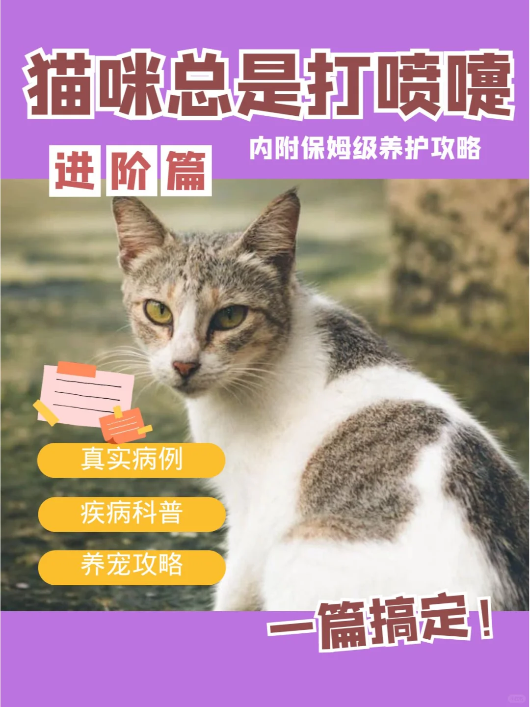 猫咪老是打喷嚏，如何才能根治？