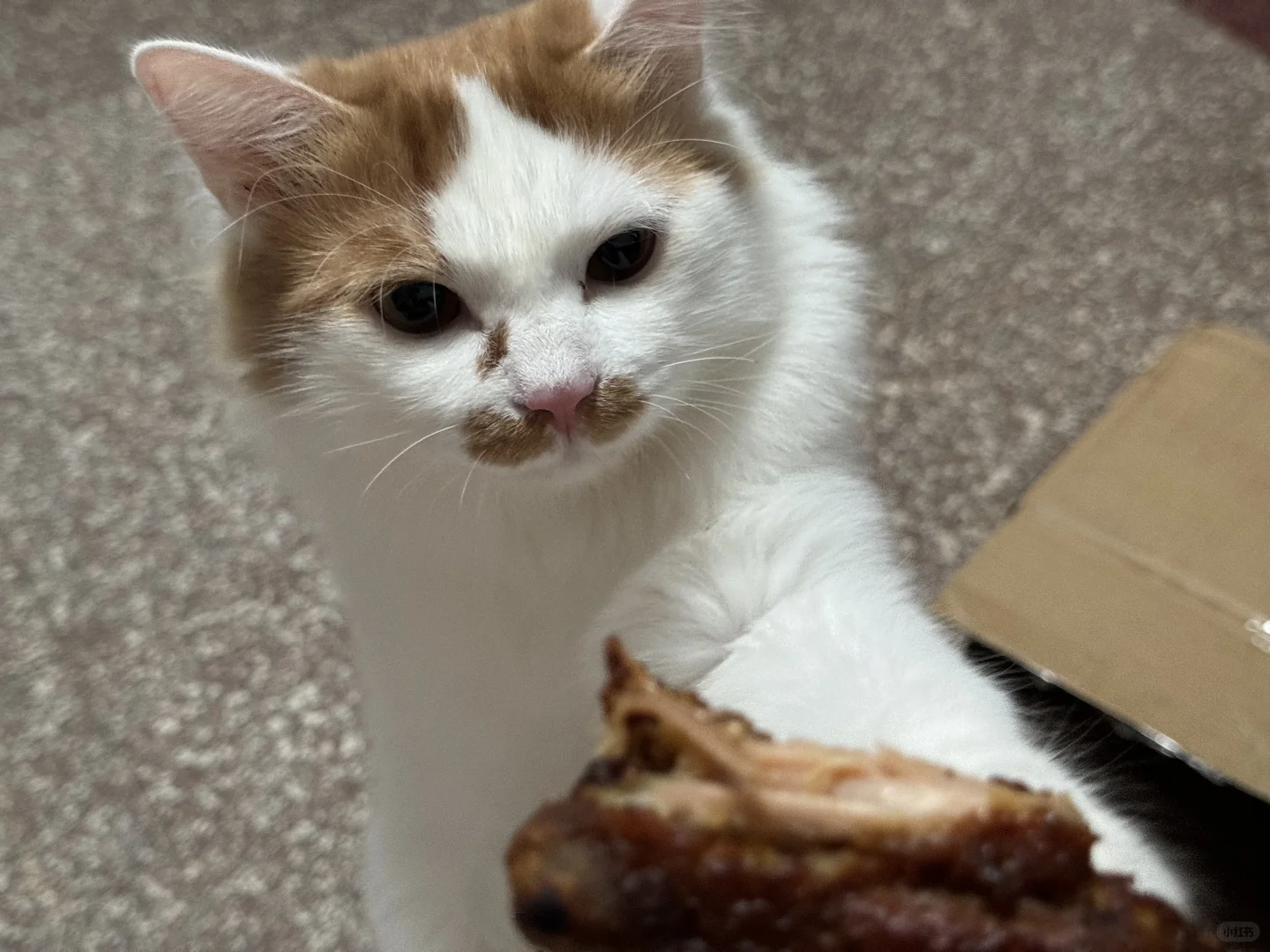 麻麻 鸡腿给饱吃一口吧