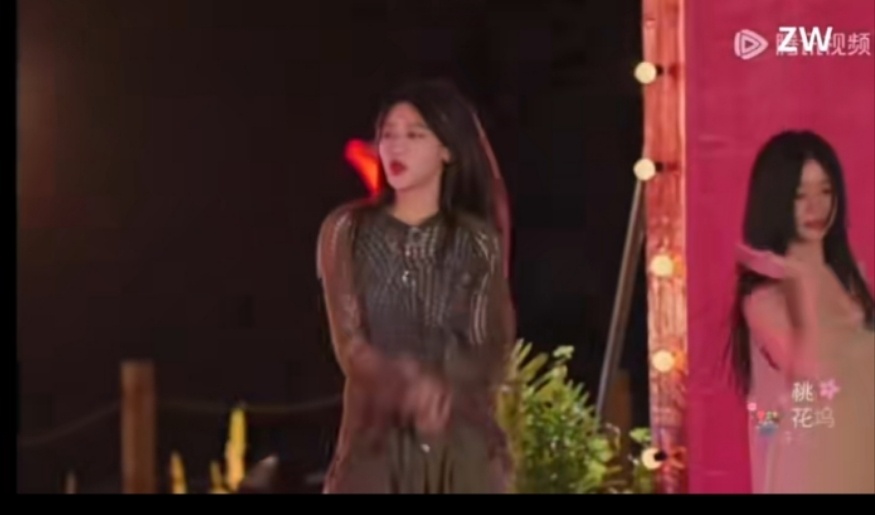 桃花坞开放中 kpop人双厨狂喜 在桃花坞的随舞环节中，我们见证了嘉宾们的努力与