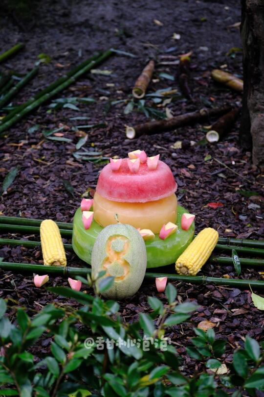 祝小芝士宝宝八岁生日快乐！