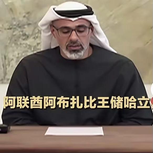 美伊谈判破裂后，阿联酋做出了选择！

4月12日，美伊在伊斯兰堡的谈判持续了21