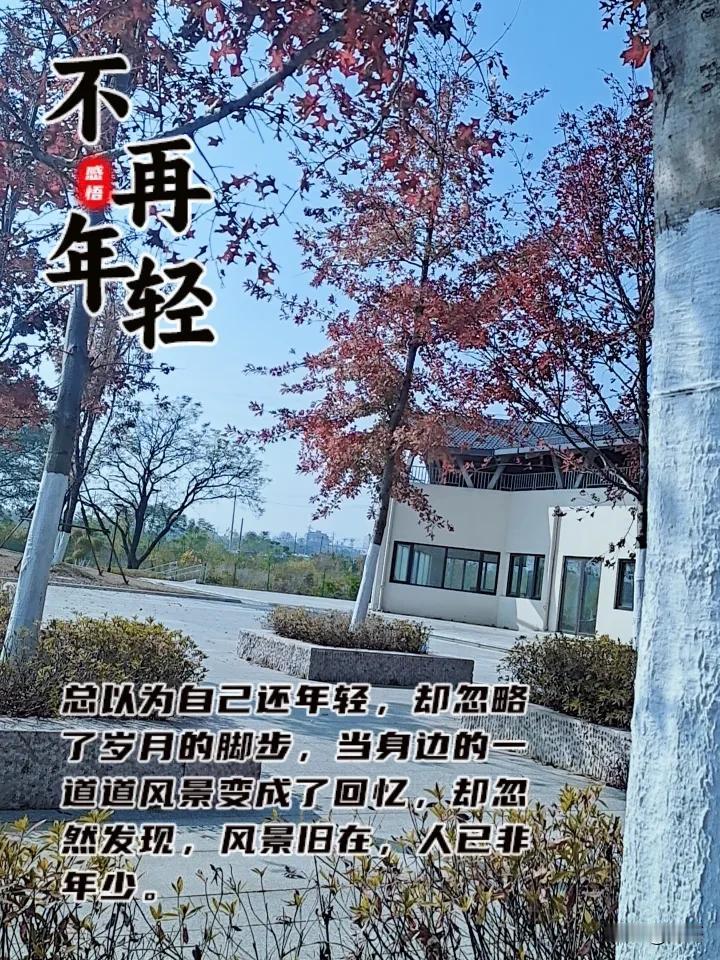 贺村镇沙洲公园