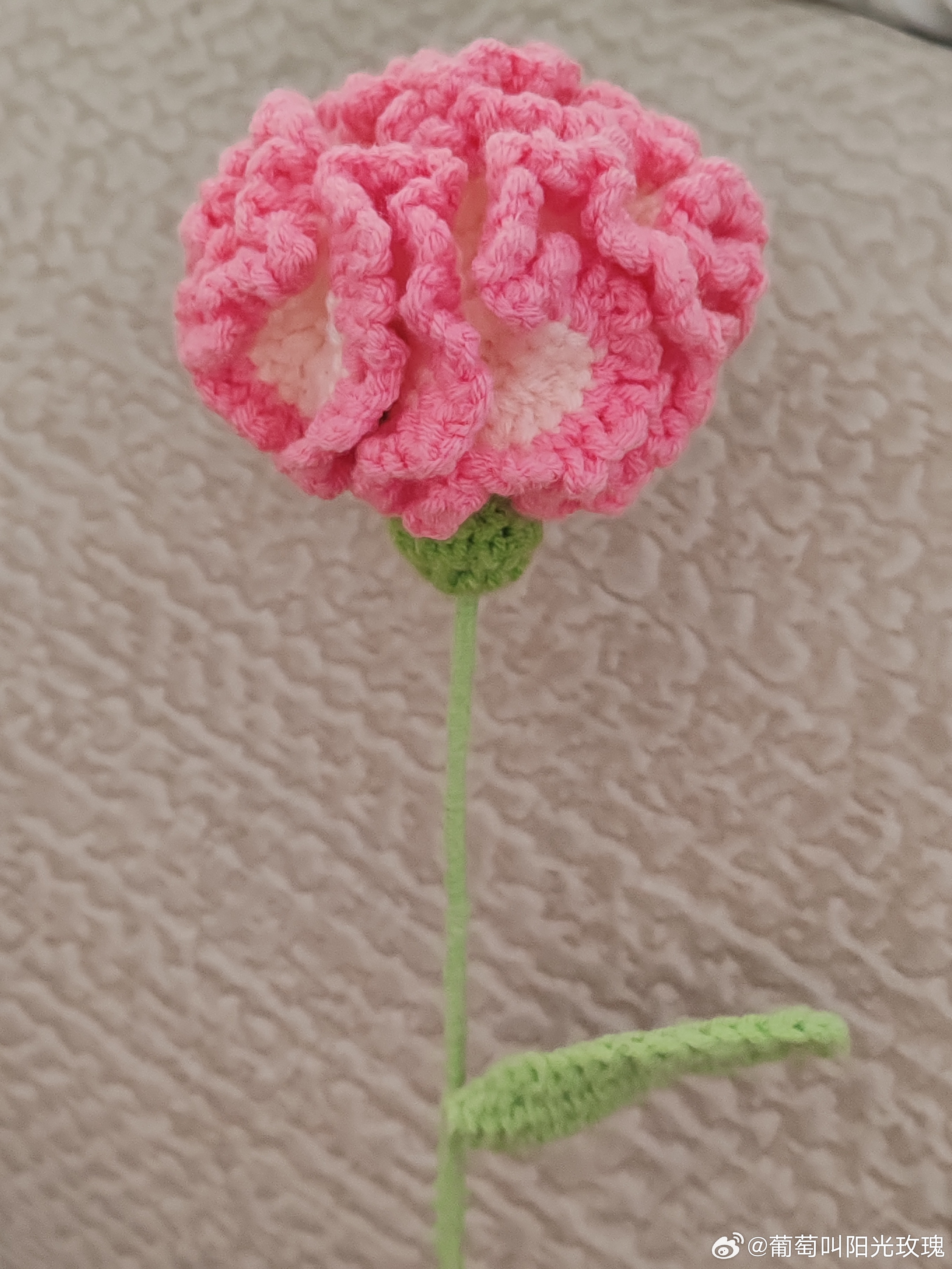突然收到我家小娃子的花～有点暖到我了。 