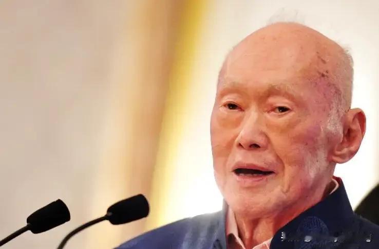 李光耀父子的一些行为确实让人难以理解和接受。在新加坡建国时，华人占比高达 86%