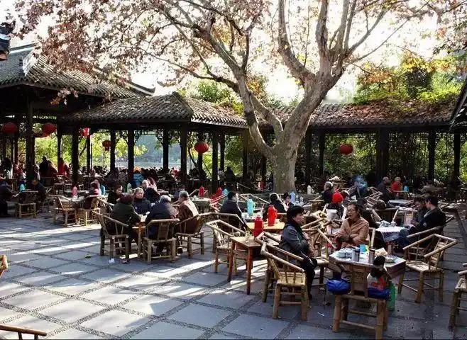 今天下午下着小雨，冒着严寒，我来到大家喝茶的古玩茶社，一起度过了愉快的下午。气候