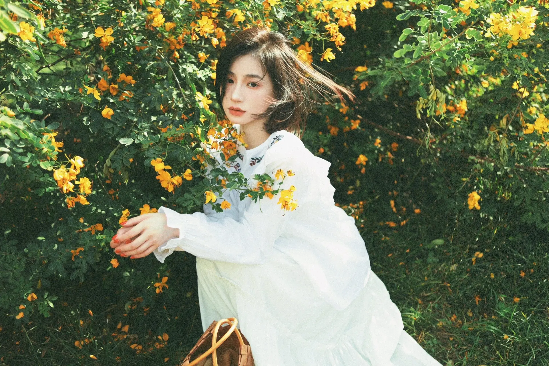 风吹雨成花