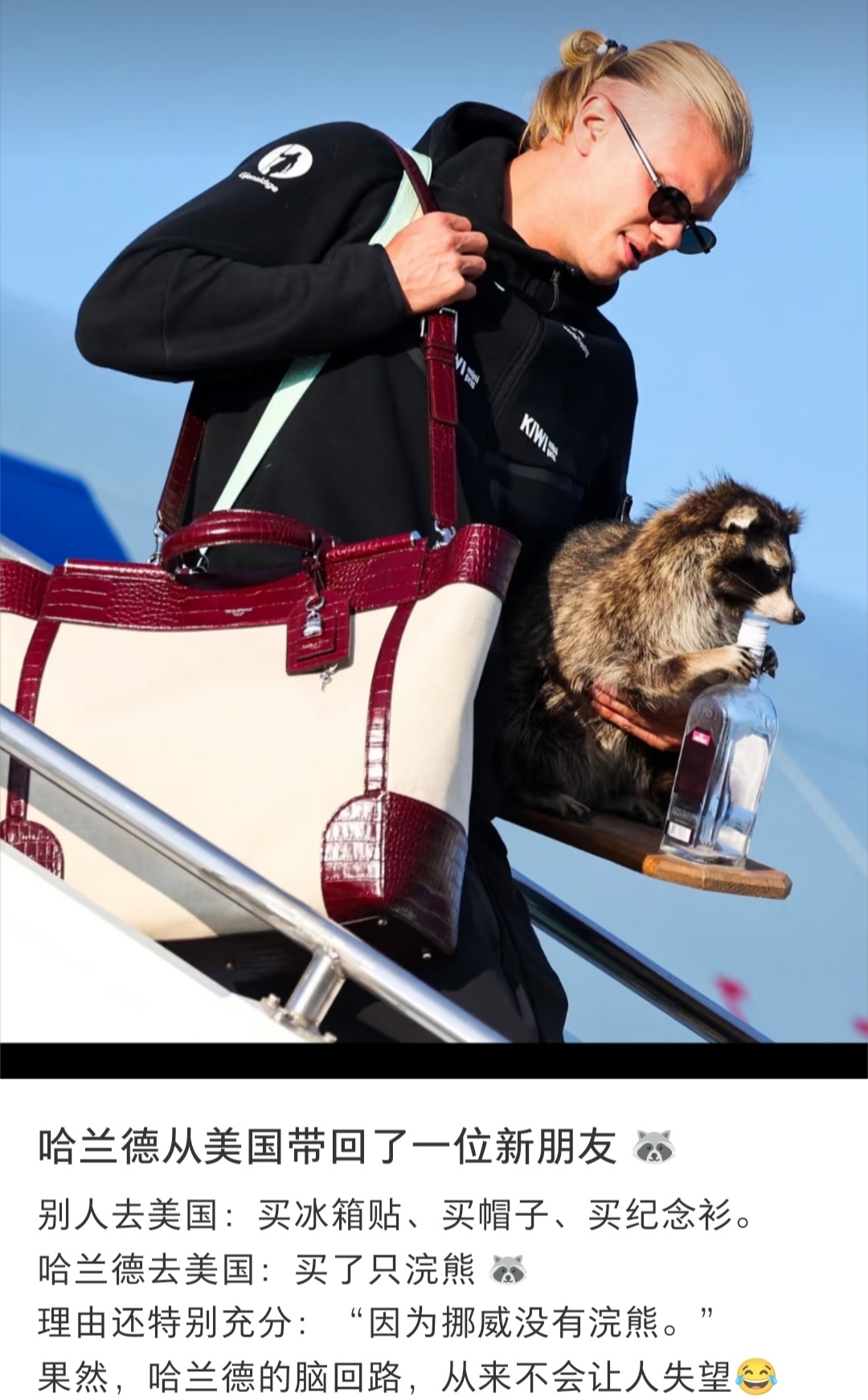 哈兰德带了个浣熊🦝标本回去，看评论说他家里好像还有两个，也是很喜欢浣熊🦝了 