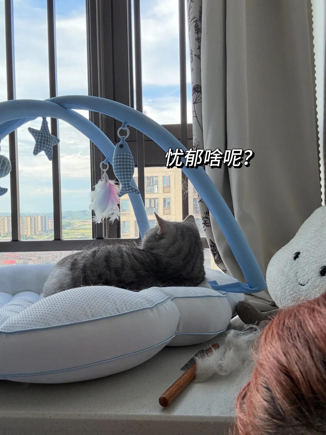 9:00预备 早睡 打卡 第十七日