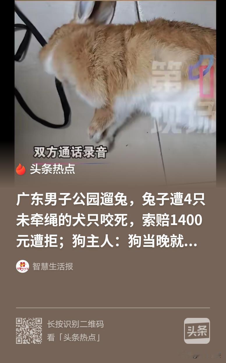 深圳，男子晚上去公园溜兔子，突然，窜出4只未牵绳的大狗，将兔子围攻、咬死，男子次