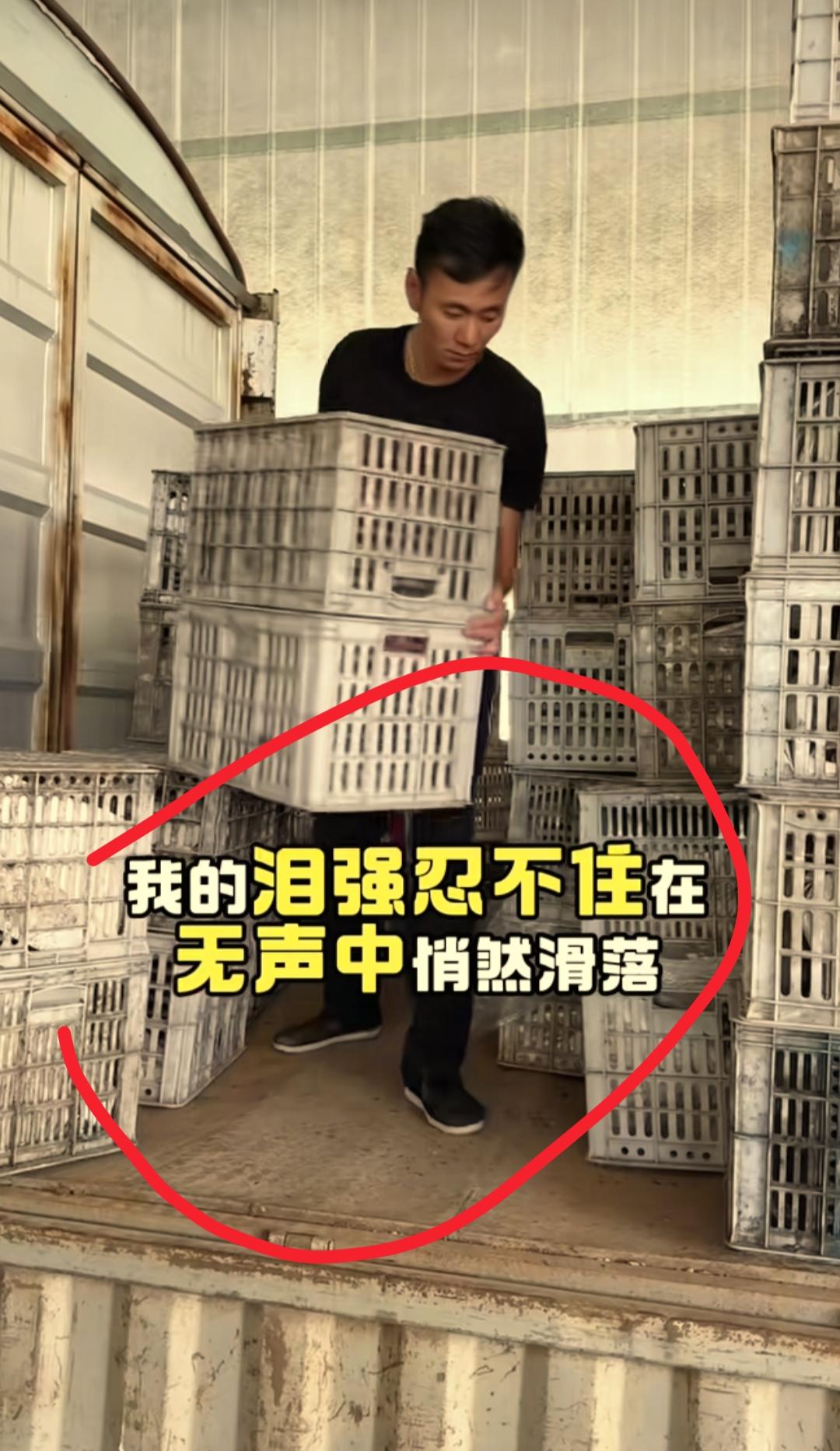 现在全网最意外的男人就是厉怀远了吧！
不是因为他离婚成功，也不是因为他洗白了
而