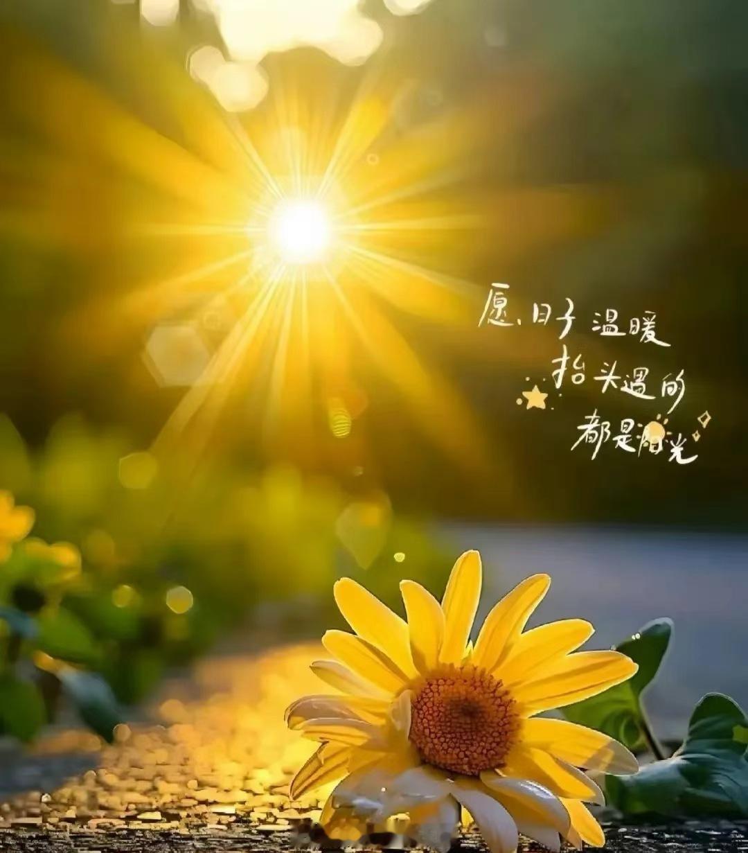 🌈𝗺𝗼𝗿𝗻𝗶𝗻𝗴 𝘆𝗮♡ ☼阳光，会照亮每一个抬头的人，生活