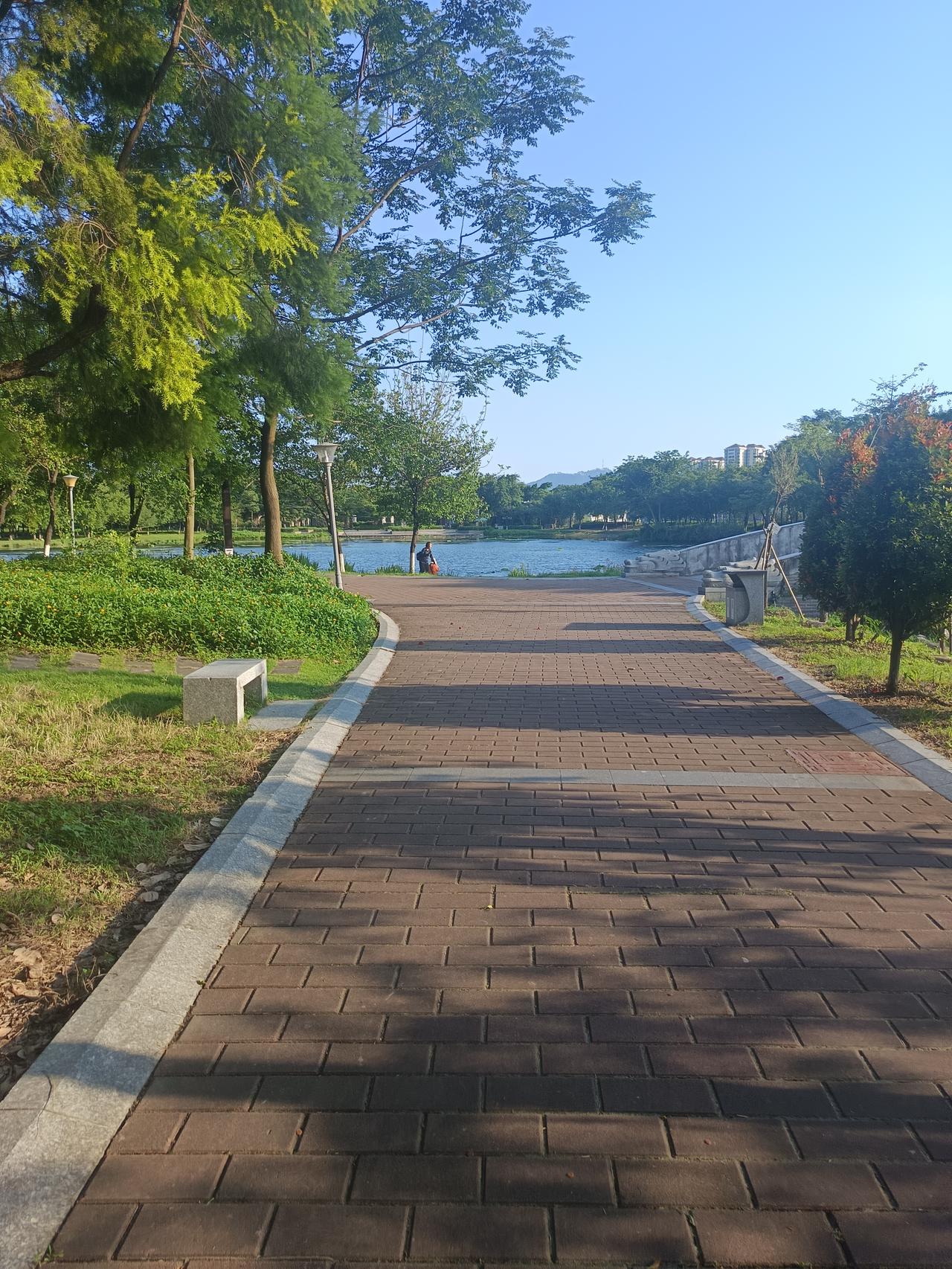 谁懂啊，这就是肇庆的星湖了。
这几天出太阳，真的风景非常好
