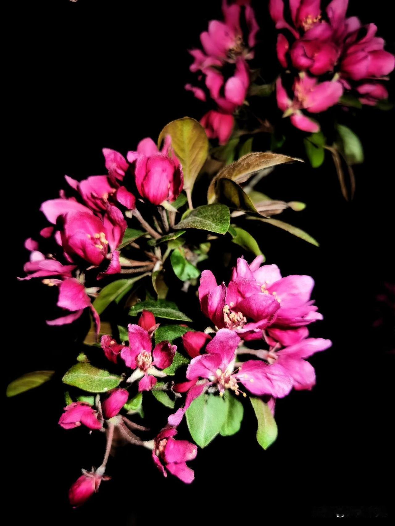 【小对联】
上：……？
下：良俗。