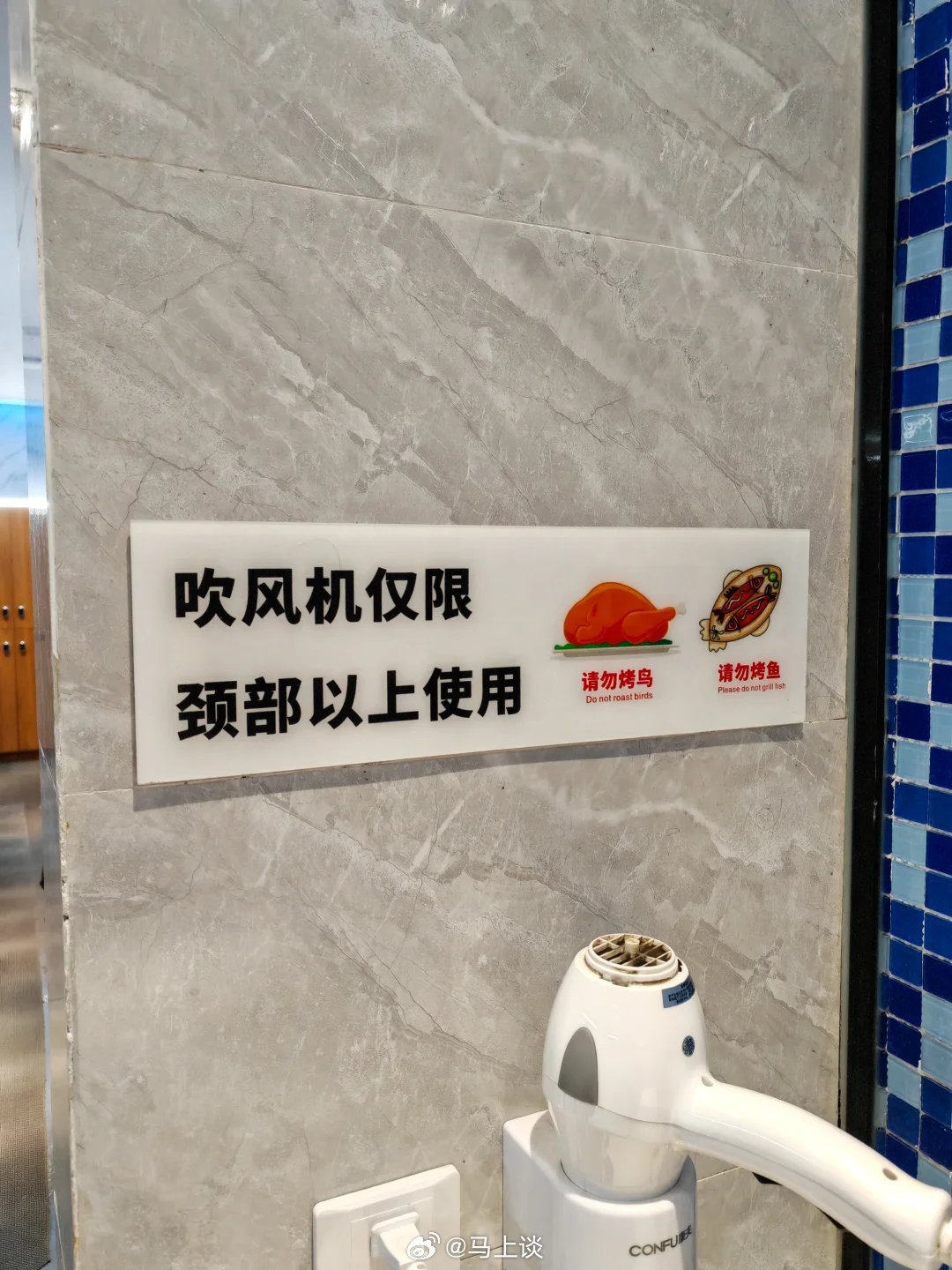 歌词“海鸟和鱼相爱，只是一场意外”…原来是这个意思…