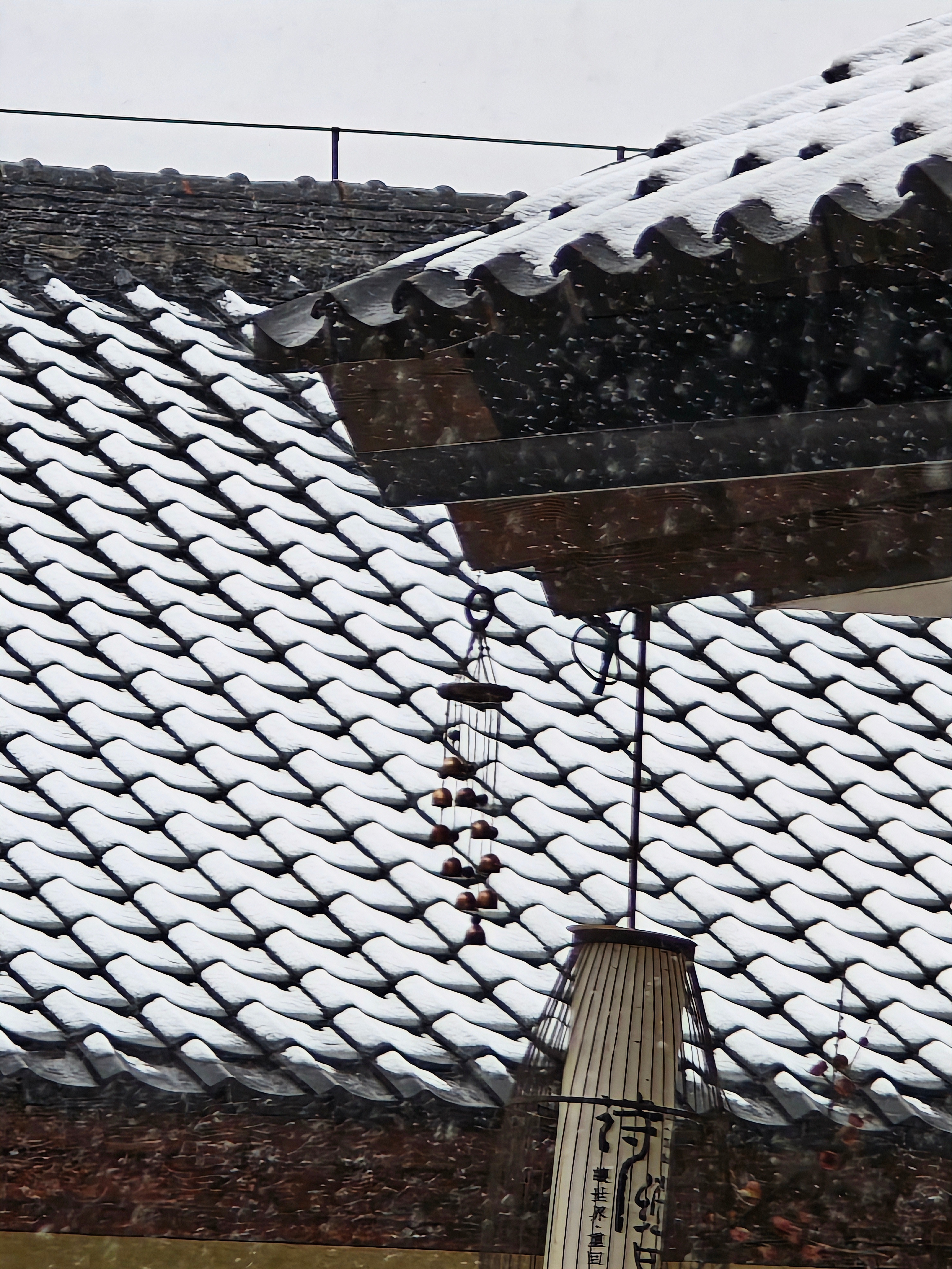 给大家看看西安的雪～ 西安