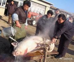 百无禁忌 