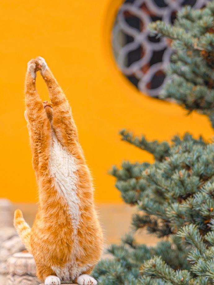 人不管到什么年龄都要记住：言慢者贵，性柔者富，德厚者旺。——  曾仕强 