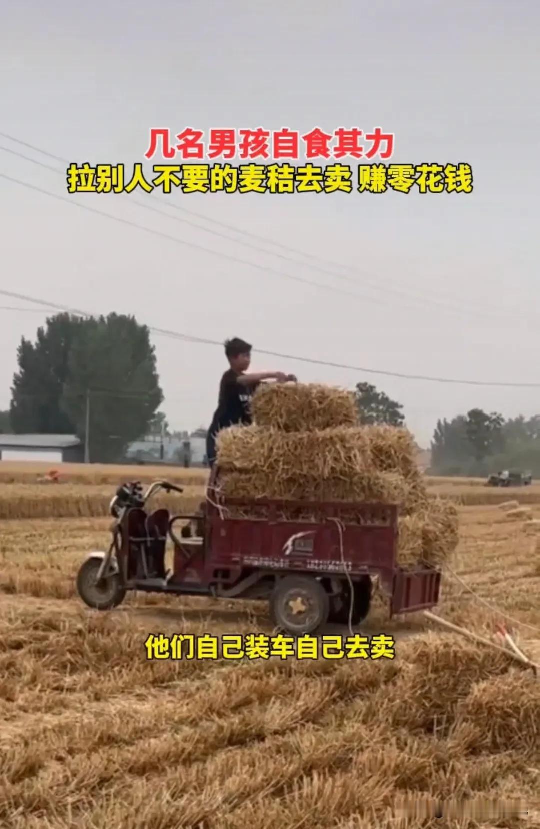 “感动又心酸！果然穷人家的孩子早当家！”河南南阳，一群五六年级的小男孩，放学回家