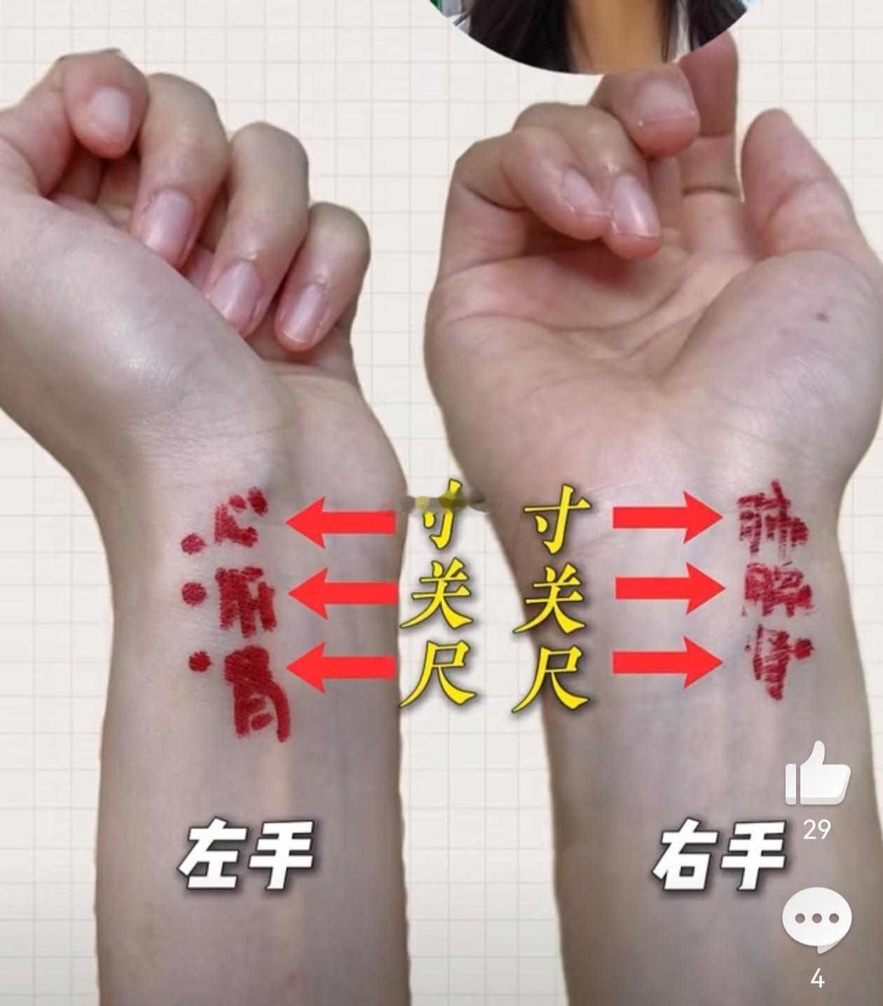 如何把脉？点位对应的脏器。 