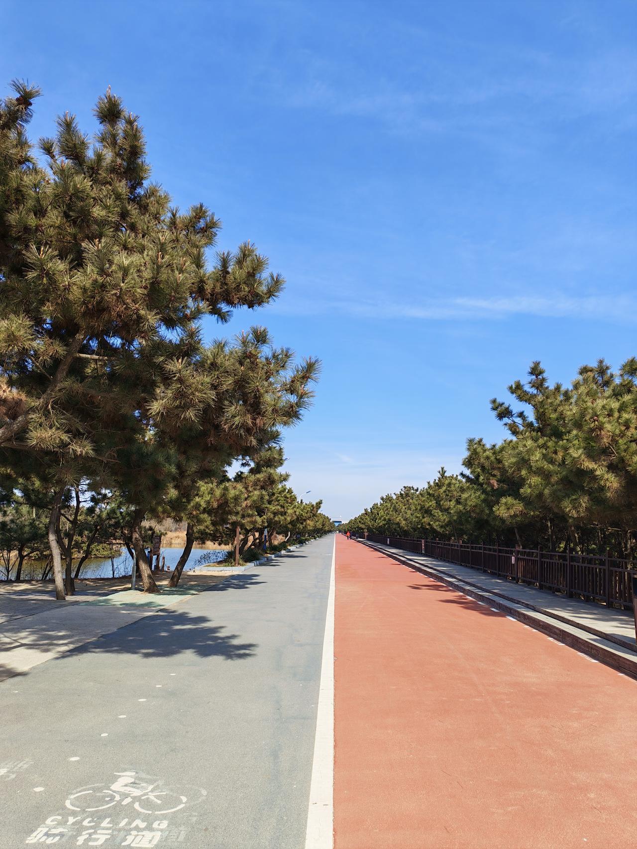 天南地北大拜年日照·国家森林公园·除夕游