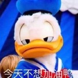 糖蟹蟹热聊娱乐