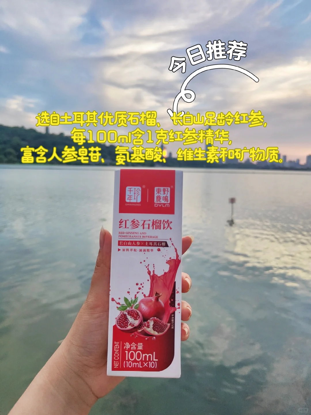 南京玄武湖的“夏雨荷”已经美到next level