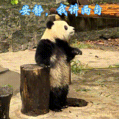 聊天必备表情包第692弹黑白小丸子 ​​​（拿图吱声） ​​​