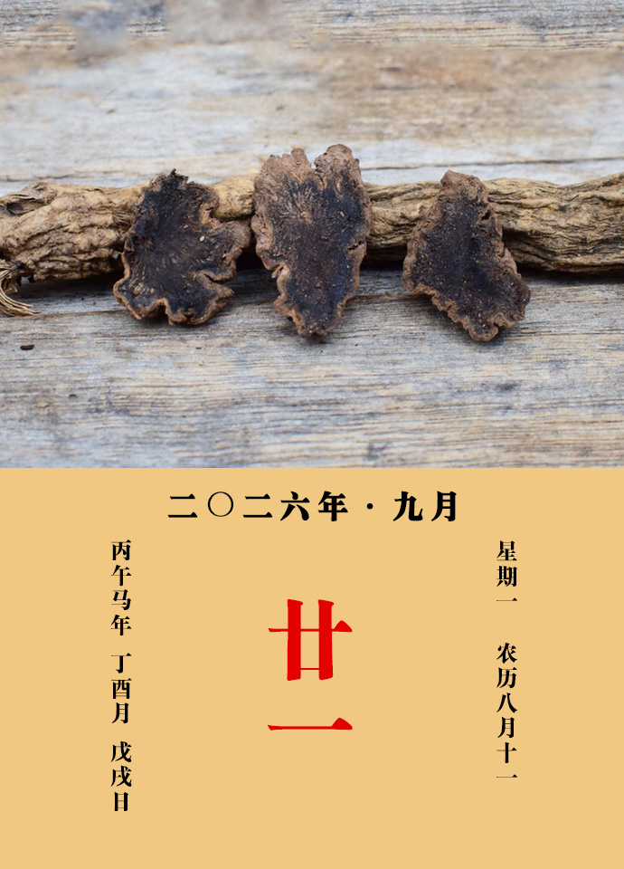 每天一味中草药 陈藏器说：玄参主产乳余疾，产后血胀，止烦渴，散颈下核，疗诸毒鼠瘘