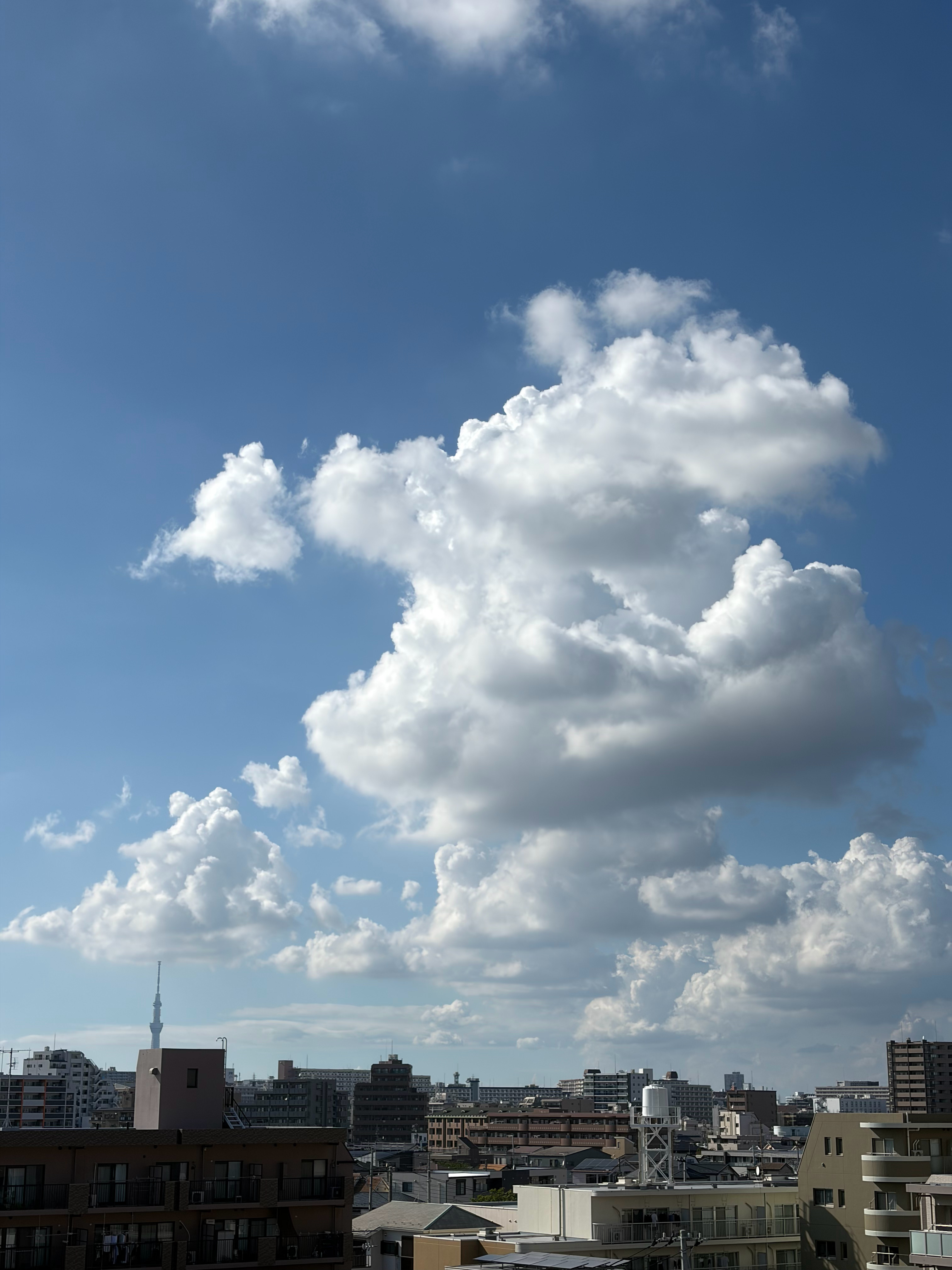 今天这个云好可爱呀☁️❤️ 