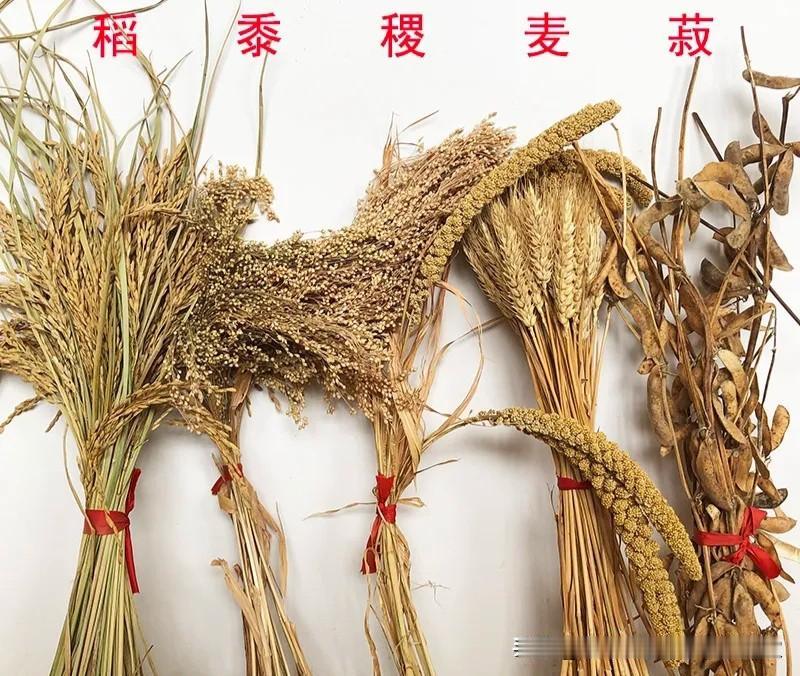 五谷、雪涛画蔬果、杂书