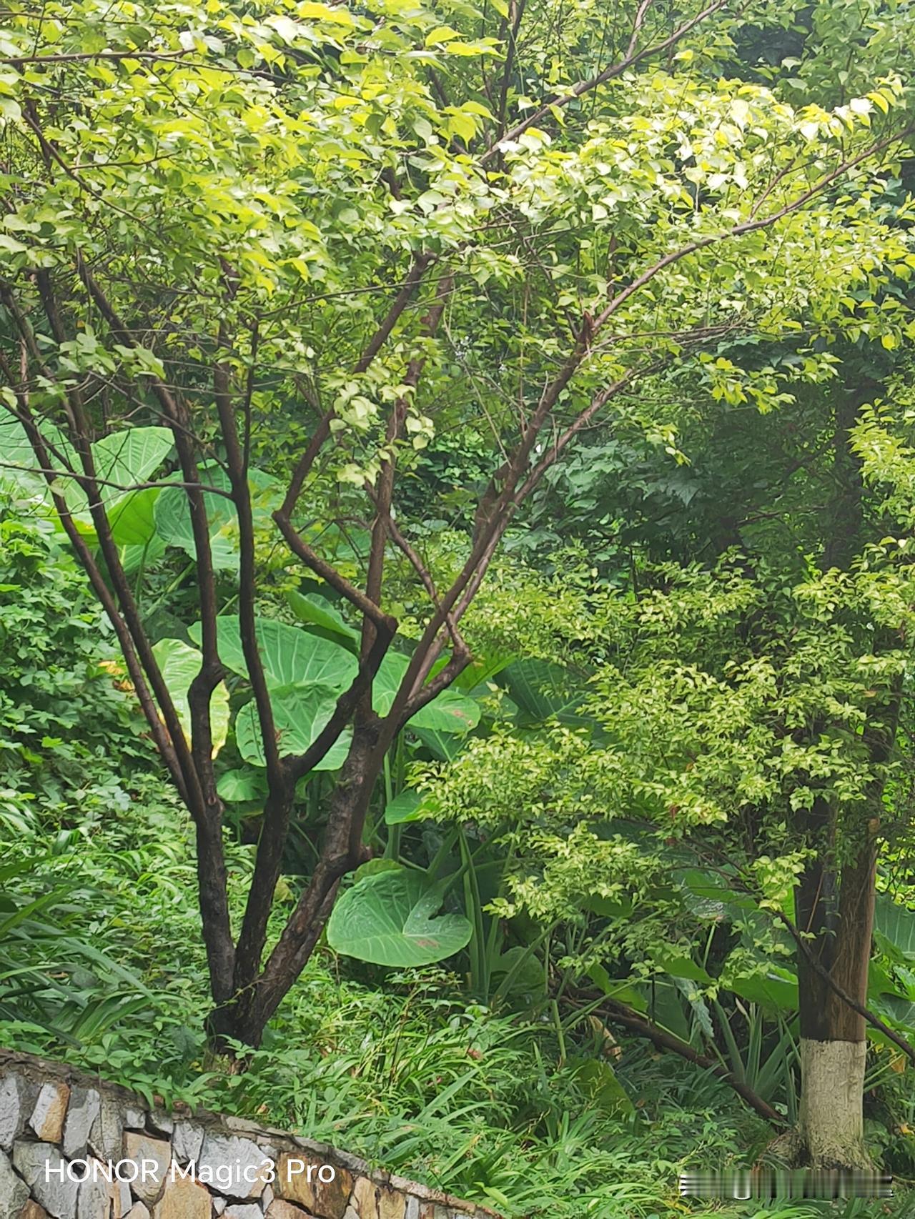 可以上中专与职高，通过努力也可以考大学的！