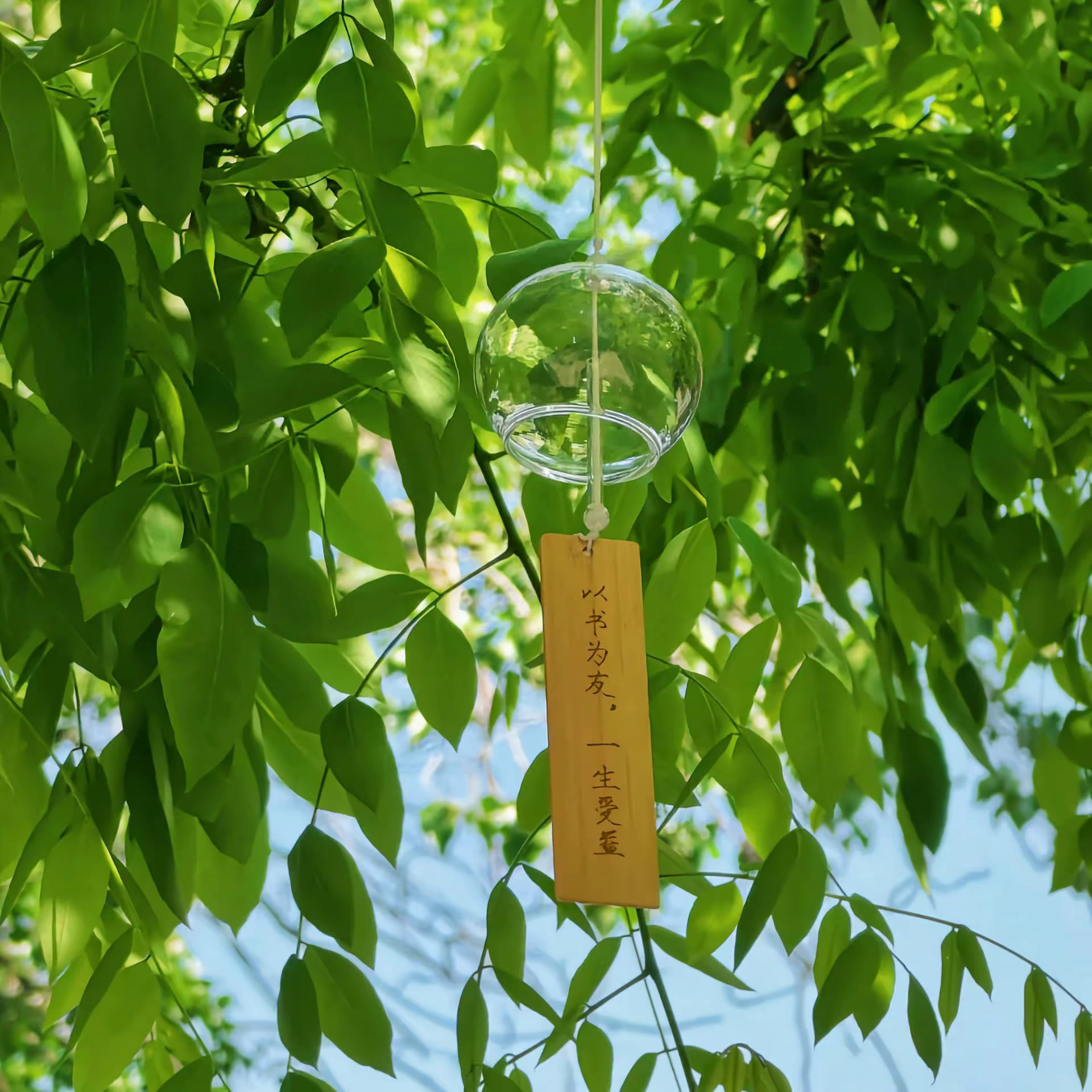 🍀薄荷之夏｜绿色系背景图分享 