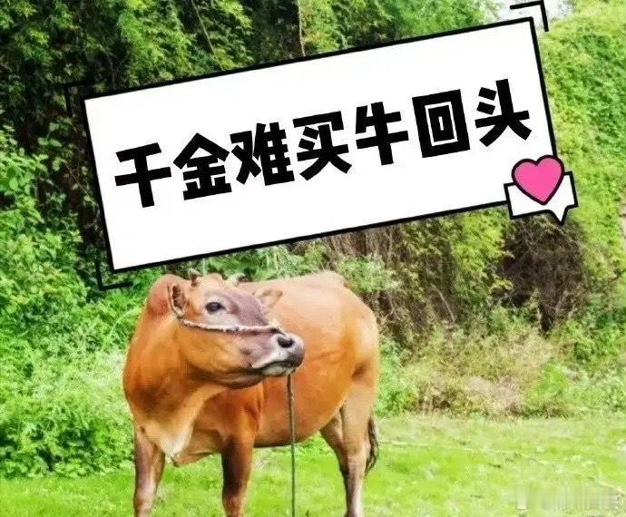 明日潜力板子标的精选不作为投资推荐！仅供参考。1. 市北高新600604上海国资
