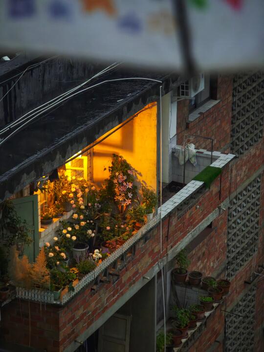 雨中温暖小家🏠