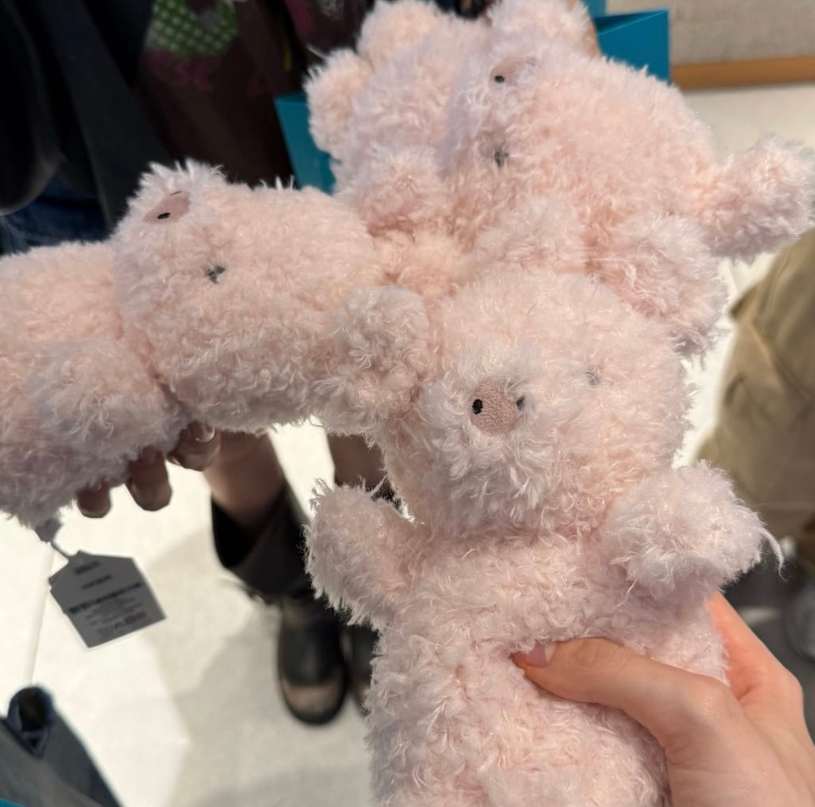 🖤🤍💜 三只小猪🐷💗 ​​​