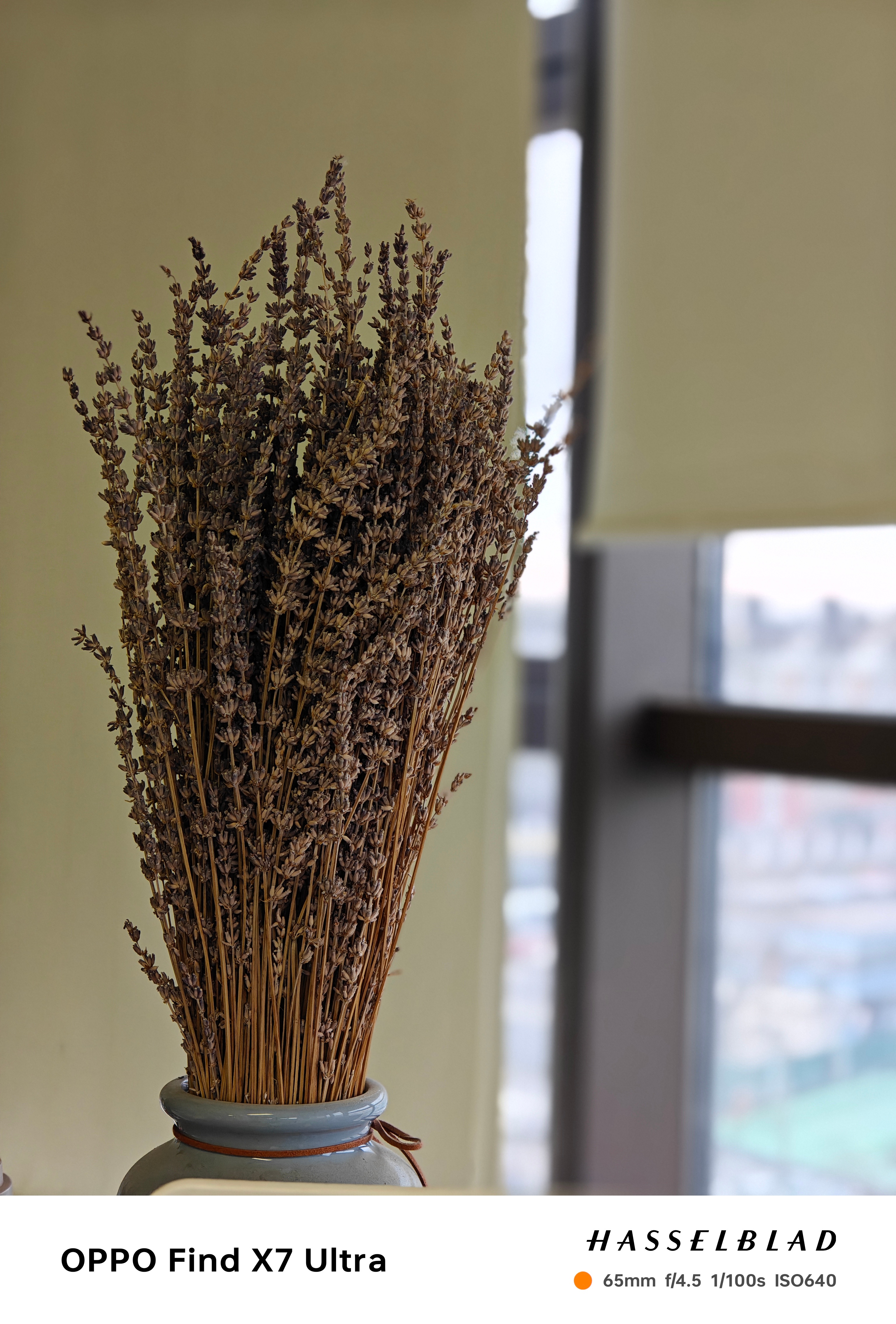 这个早晨，我第一个到办公室，安安静静的，我用新的oppo Find X7随手拍了