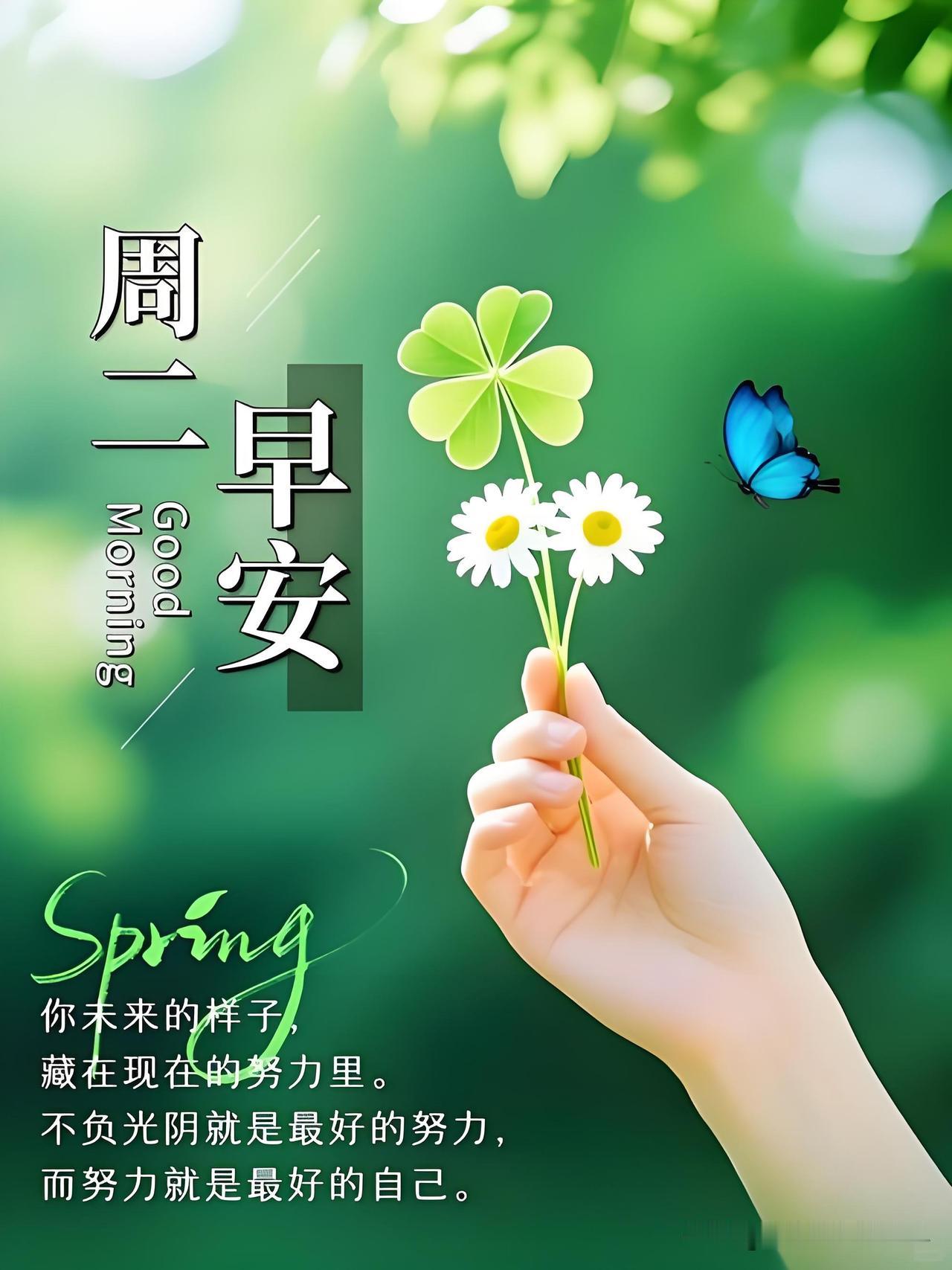 🍃꧂🌞早上好💕᭄🌿☕️
           𝒢𝑜𝑜𝒹 𝓂𝑜
