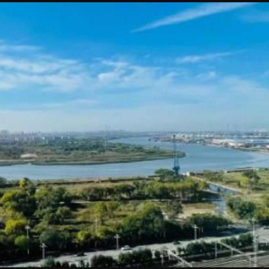 一座城市的发展窗口期，往往只有一次，滨海新区显然没有抓住。
 
耿彦波那句“历史