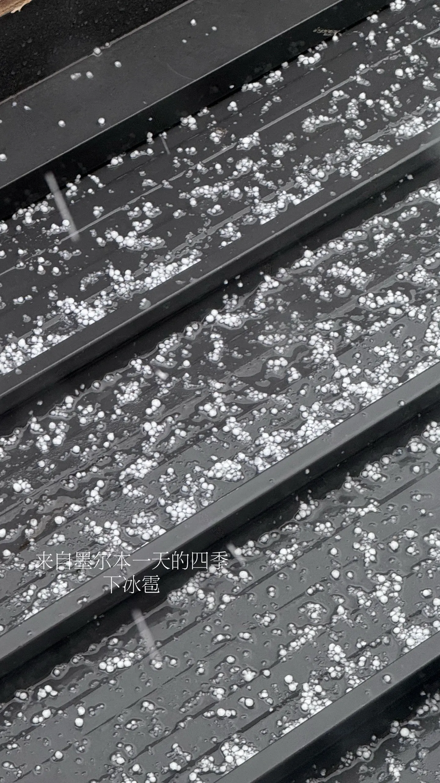 岁月 眨眼就过了