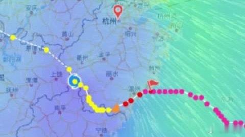 台风“白海豚”在浙闽交界画出的那条Z字形轨迹，确实超出了很多人的经验边界。它先南