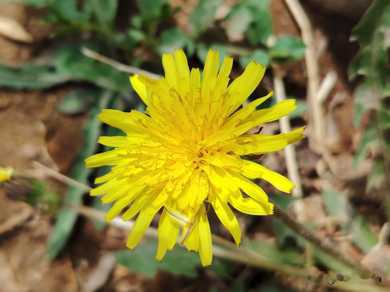 二婚的我，输给了现实
 
曾经以为，二婚是劫后余生，是跨过千山万水后，终于寻到的