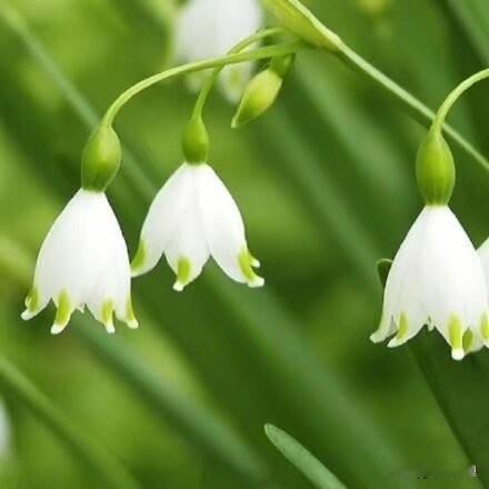 女人若美的惊人，
没有权势的男人是保不住她的。
在生活中见惯了这些事，
美人在没