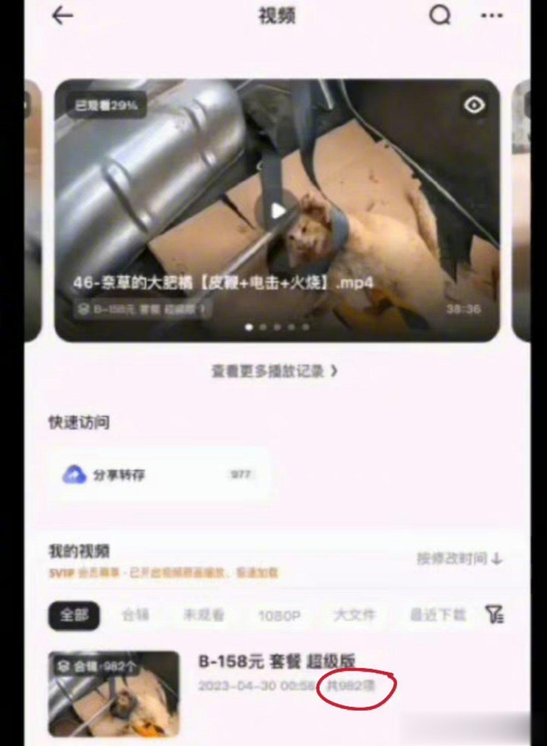 -杰克辣条又开始虐猫了！！！！一个虐猫套餐内含982个视频，据网友说正在直播，这