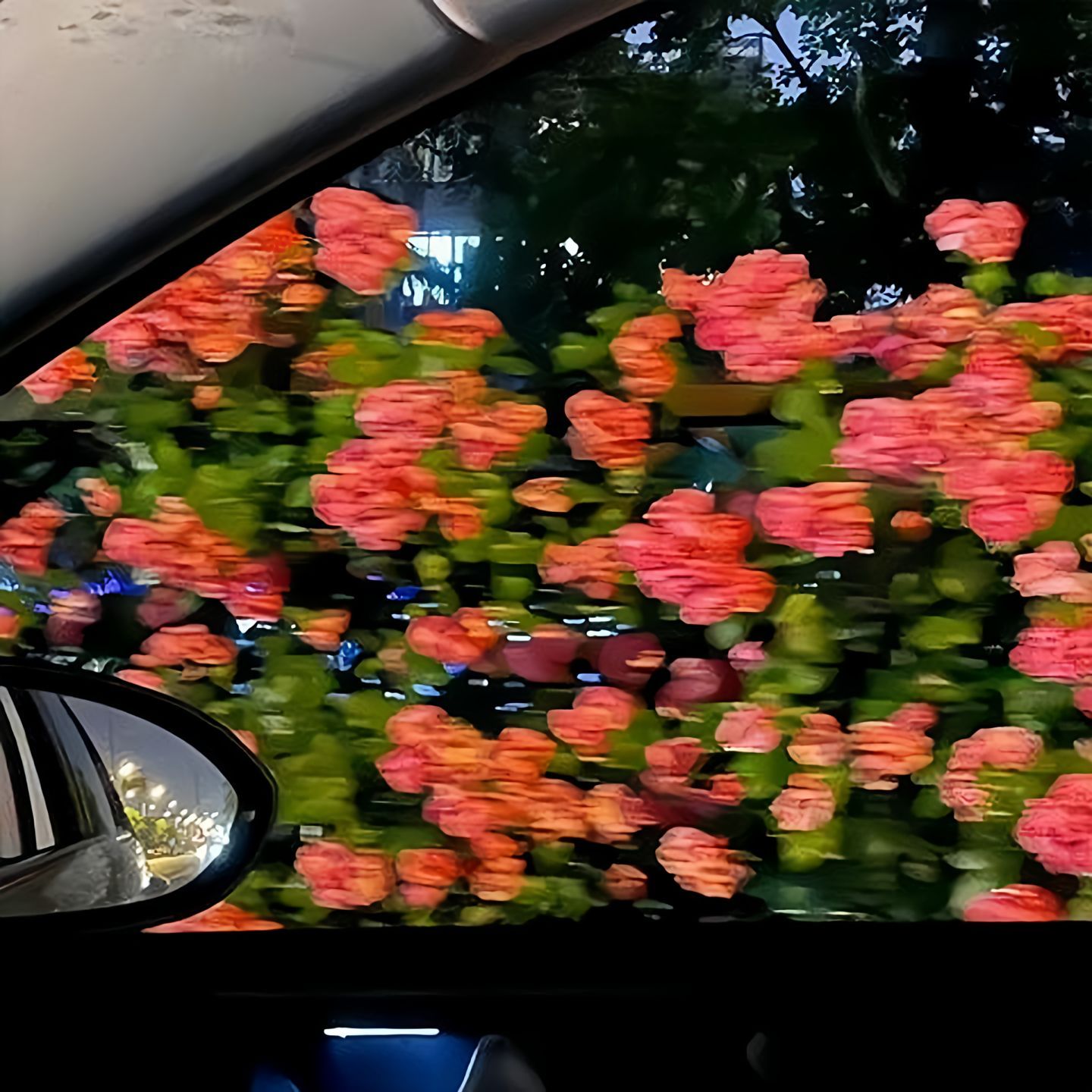 𝐒𝐭𝐫𝐨𝐧𝐠 🌷꒱·𖠚ᐝ“跌倒后爬起来的人，比从未跌倒的人多一层