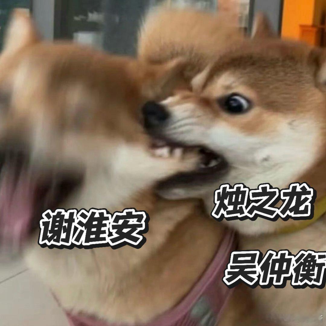 谢淮安 就俩老师还都对着干二十年的教导全是算计，这谁顶得住啊！学的每一招都要对付