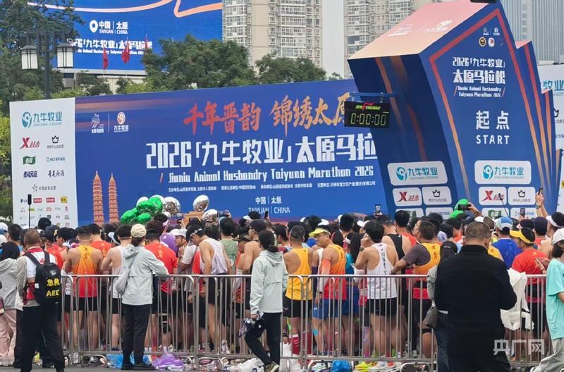 太马把奖项拆成国内和国际组，这点真的戳到很多跑者的爽点了。
之前不少全马赛事，前