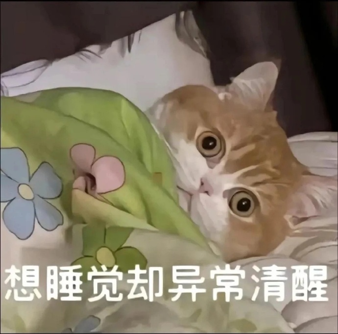 还以为五六点醒是身体出问题了最近经常1:30才睡然后早上6点自然醒然后想睡也睡不