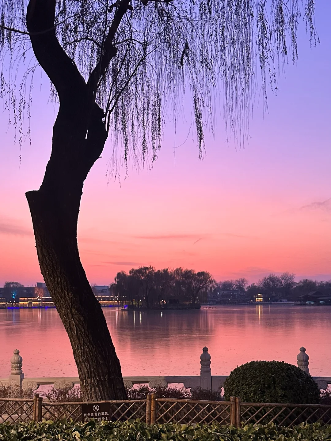 北京花小钱装大杯🥂的快乐！！（穷鬼平价版）