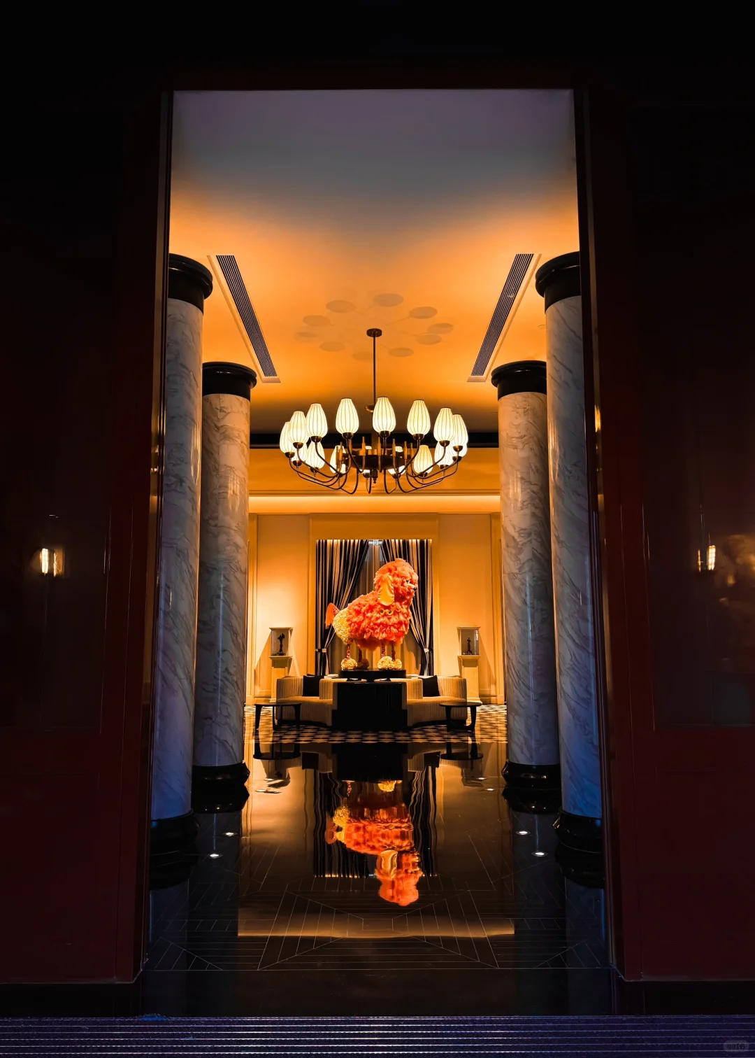 有香如故鸢尾蝶🐦‍🔥🔥