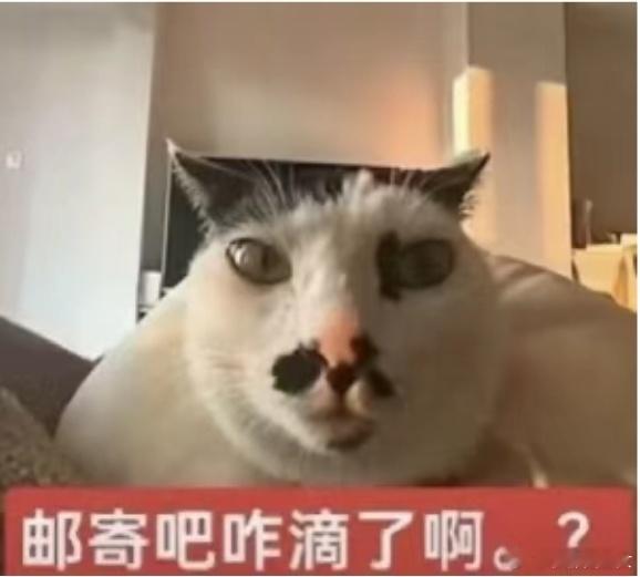 分享图片 ​​​